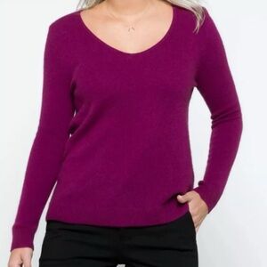 41 Hawthorn 100% Cashmere V Neck Sweater  Size S Luxury Minimalist Preppy